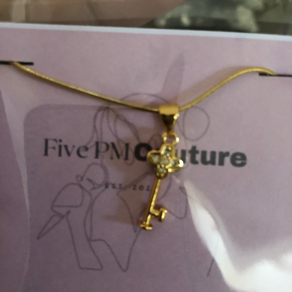 STAINLESS NECKLACE 18” long . NOT GOLD ..